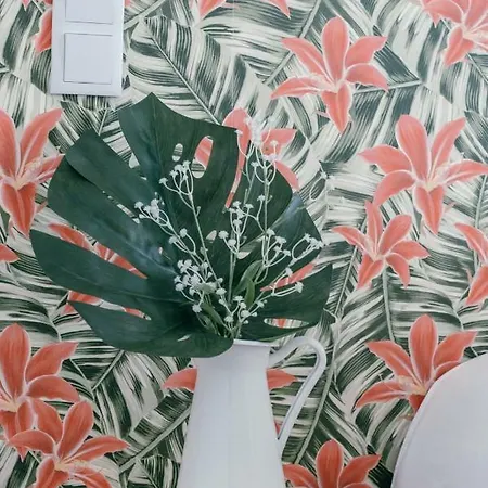 Casas De Mar - Concha * Olhão